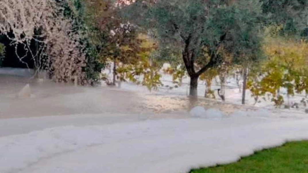 La schiuma nel giardino dell'agriturismo La schiuma nel giardino dell'agriturismo