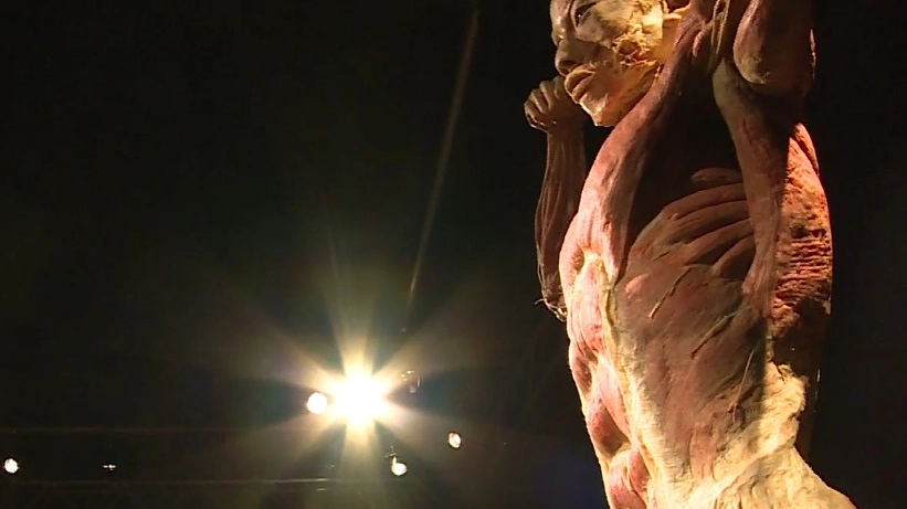 Real Bodies, la mostra dei veri cadaveri a Milano