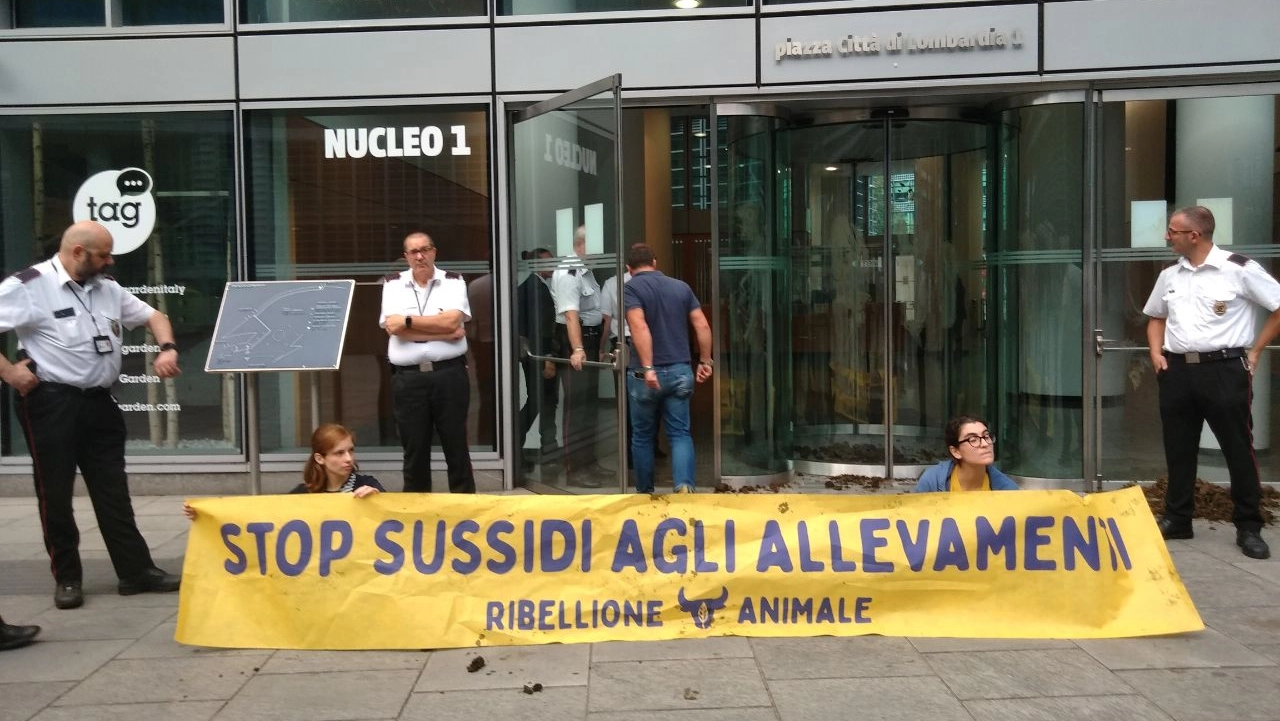 Il blitz degli attivisti di Ribellione Animale davanti all'ingresso di Regione Lombardia Il blitz degli attivisti di Ribellione Animale davanti all'ingresso di Regione Lombardia