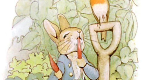 Peter Rabbit Foto @Wikipedia