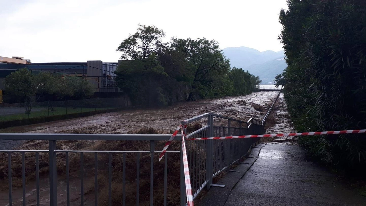 immagine di sfondo 2