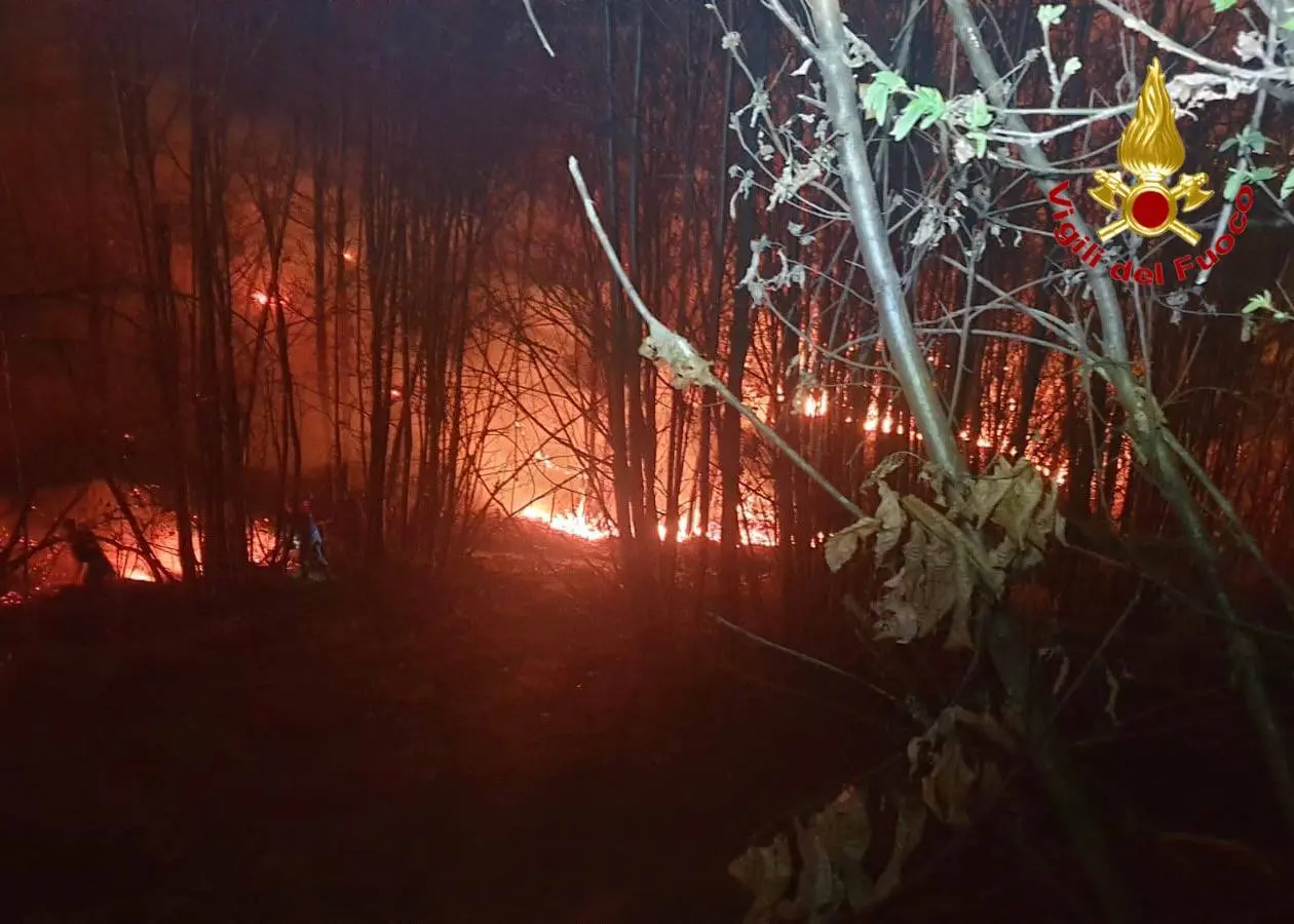 Incendio devasta i boschi di Angera, famiglie evacuate