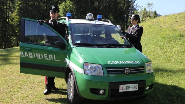 Carabinieri forestali (Archivio)