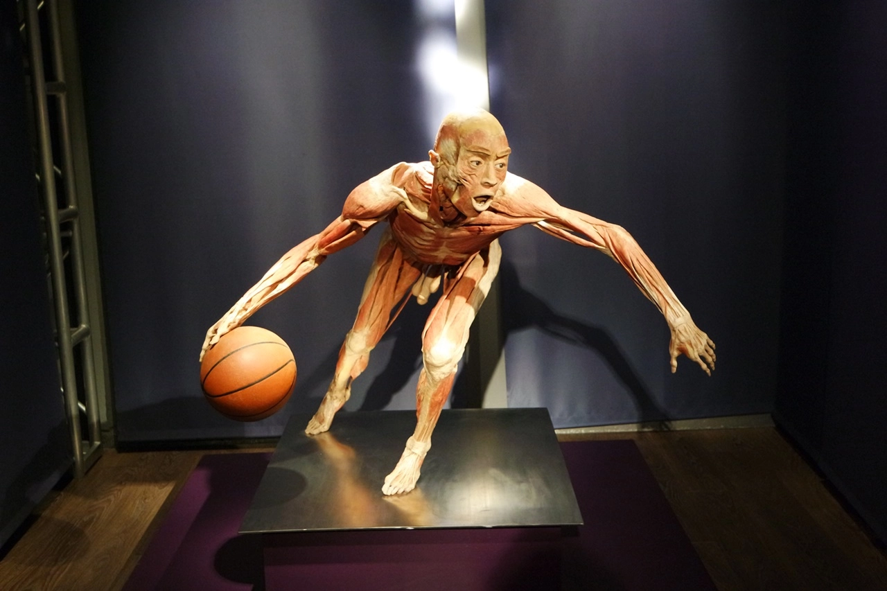 La mostra Real Bodies