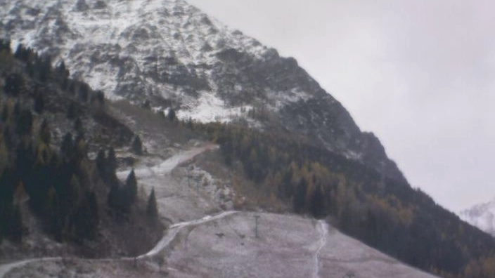 neve a quote basse, Lizzola 1250m (Foto Webcam Prealpi e Alpi Orobie)