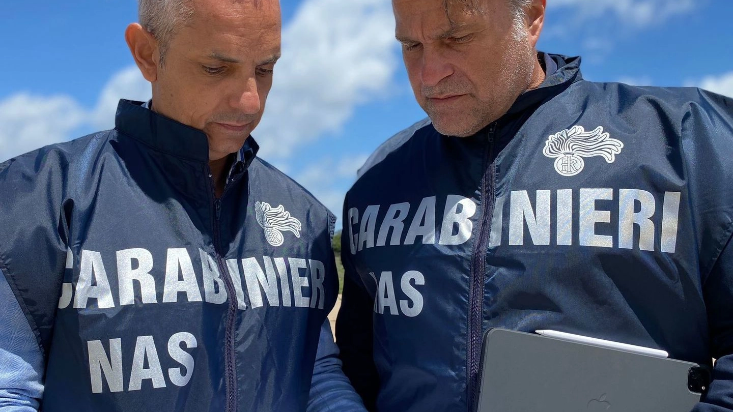 L'indagine è affidata ai carabinieri dei Nas L'indagine è affidata ai carabinieri dei Nas