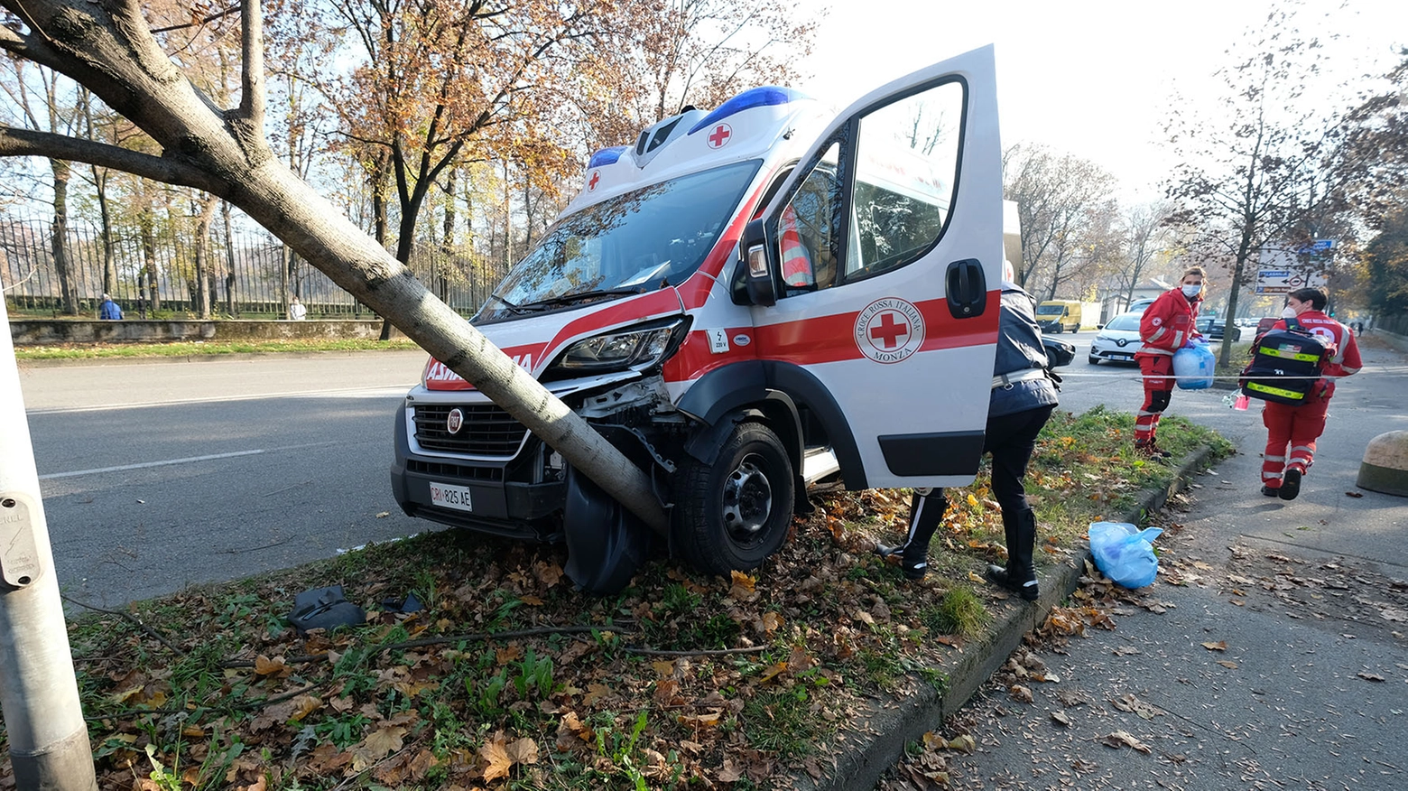 L'ambulanza ha abbattuto un albero