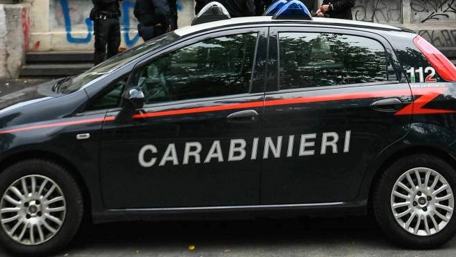 Cremona, rubava la corrente ai vicini per coltivare canapa: arrestato 38enne