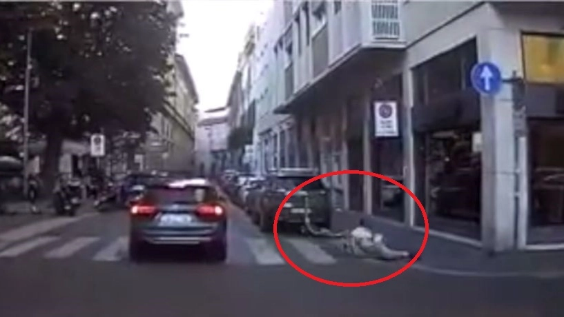 Travolto in monopattino da un'auto (Frame video)