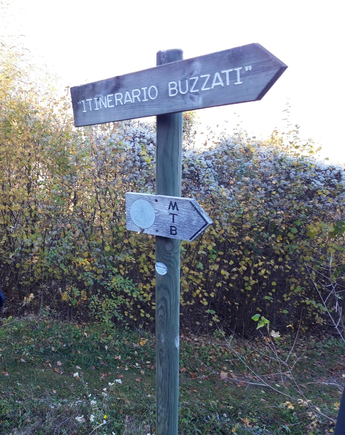 immagine di sfondo 3