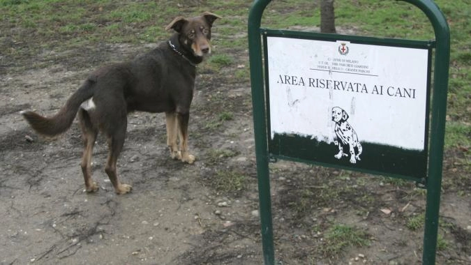 Una nuova area cani a Cerro