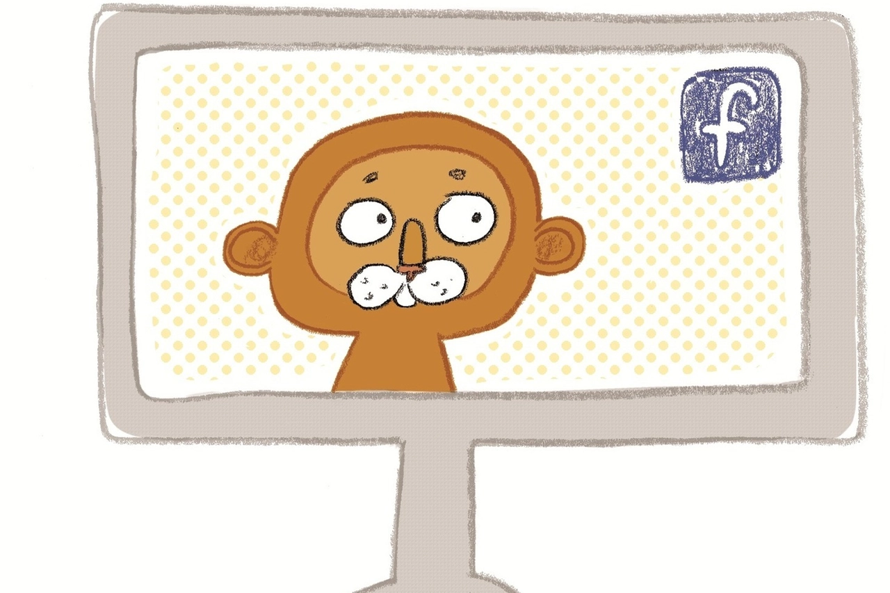 MESSAGGI La rana, protagonista di una favola: trascorre la sua giornata fra le ninfee di Facebook, svelando i suoi segreti e facendosi imbrogliare da una volpe indovina