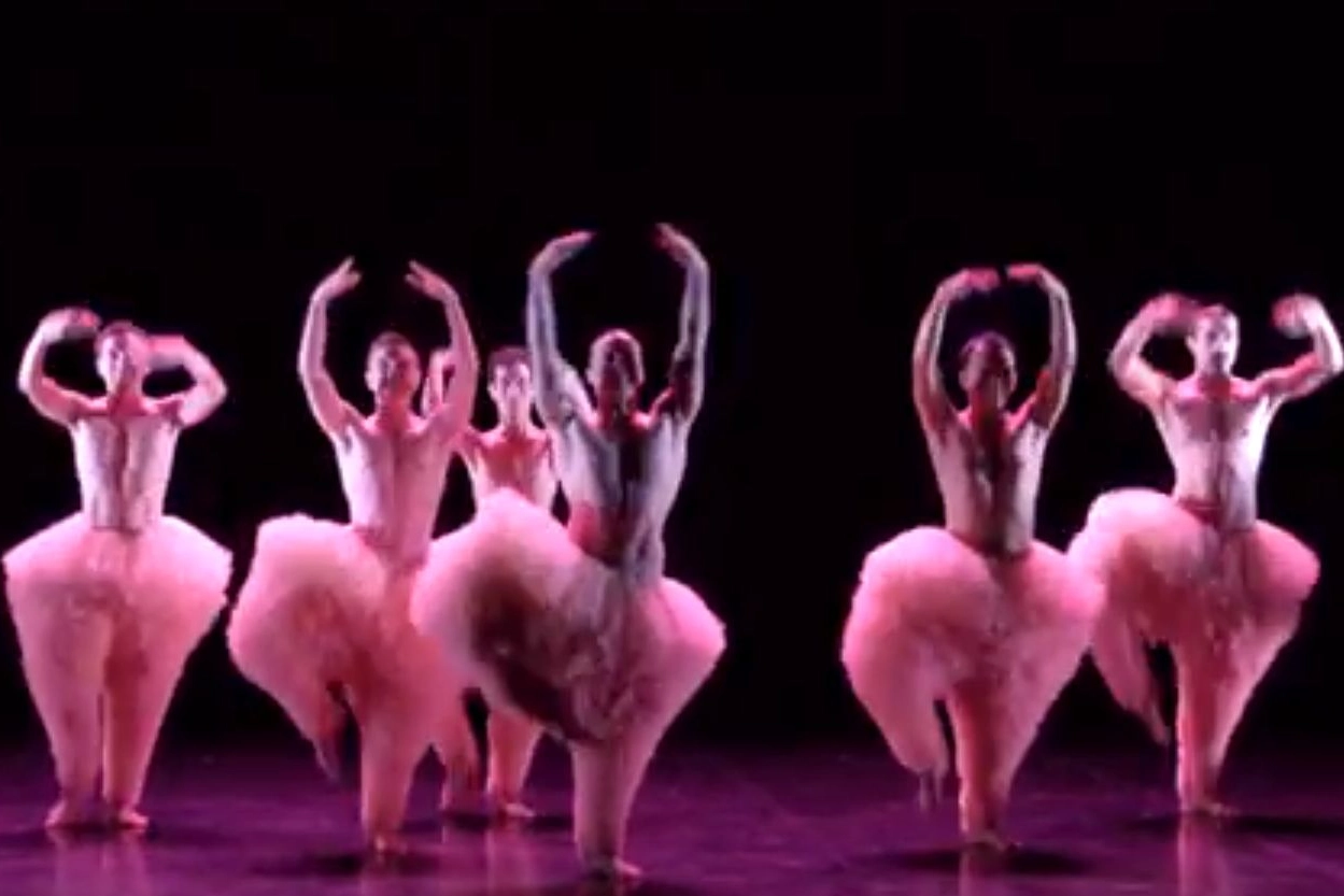 Chicos Mambo Tutu