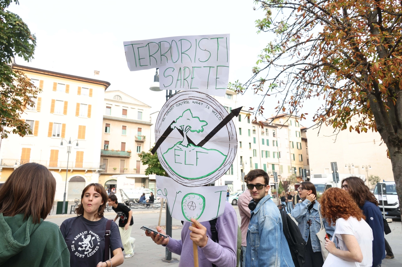 immagine di sfondo 8