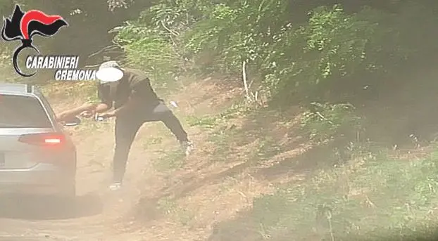 Spaccio nei campi di mais della Bassa Padana: 6 arrestati e 8 ricercati
