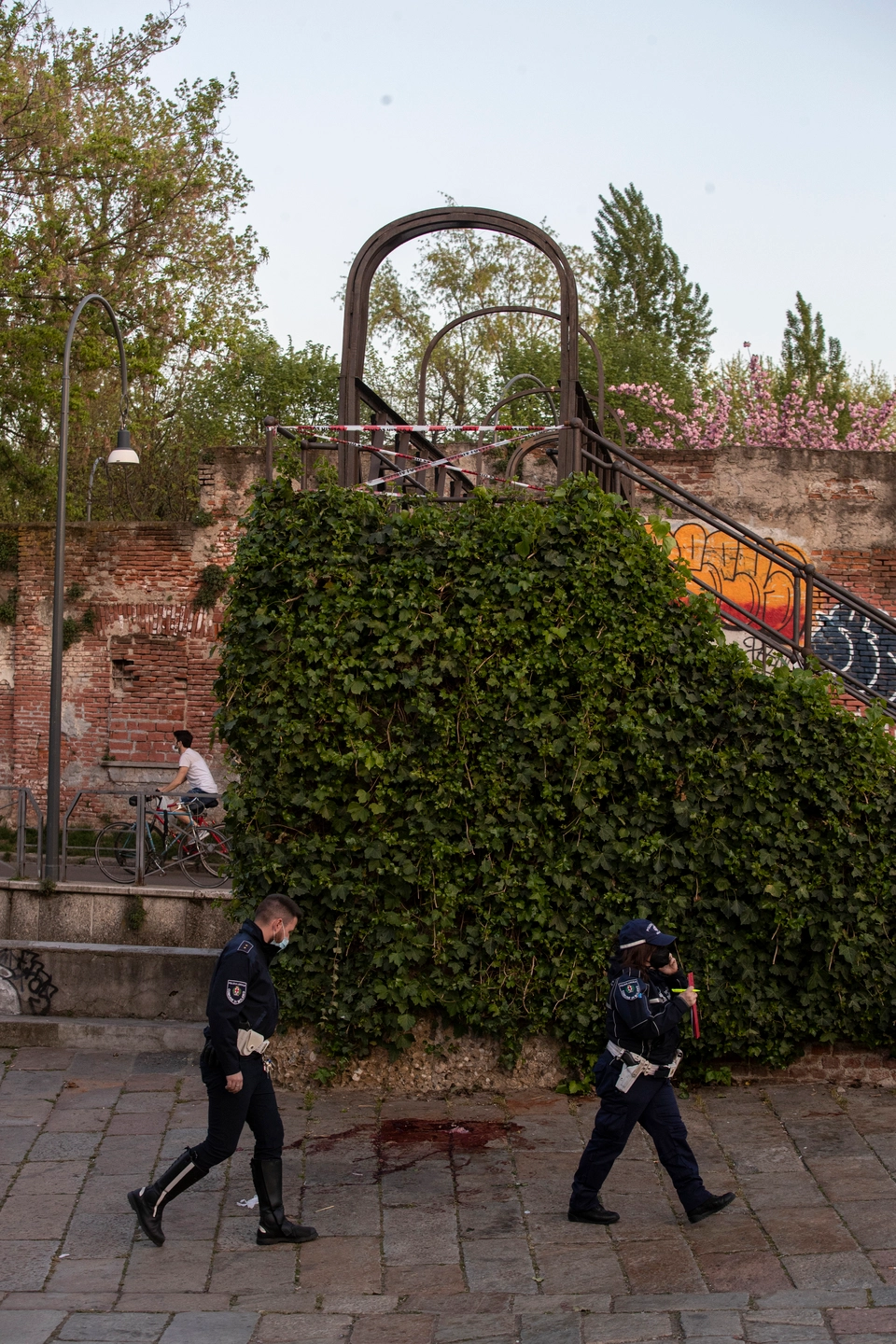 immagine di sfondo 17