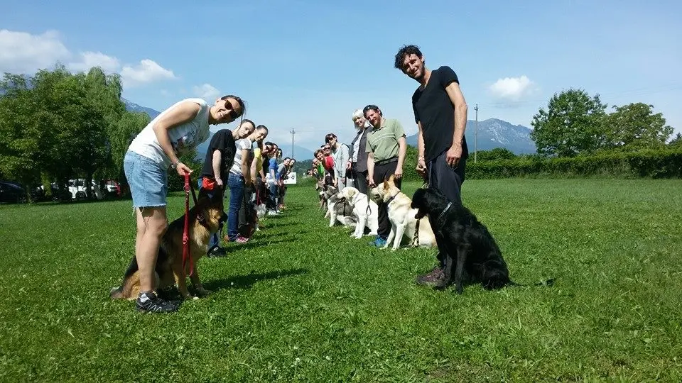Al via il corso di Ats Insbria per imparare a trattare il proprio cane Al via il corso di Ats Insbria per imparare a trattare il proprio cane