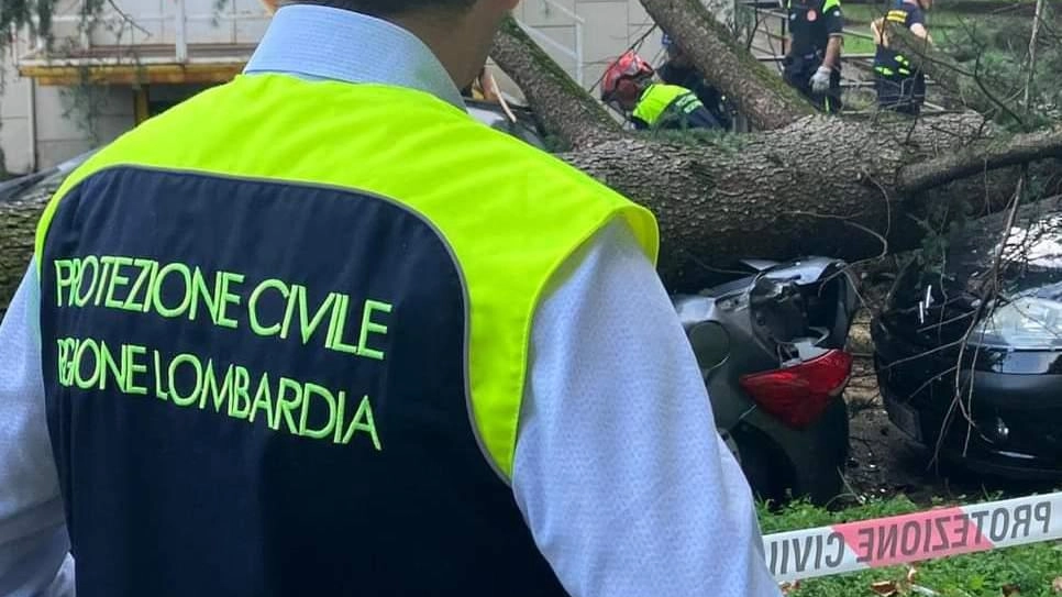 Parchi e giardini: "A rilento i lavori di ripristino"