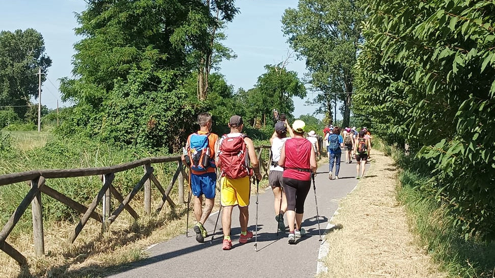 Nell’ultimo tratto il tragitto prevede una notevole estensione a piedi da Pavia a Genova dove le reliquie del santo sbarcarono nel VII secolo, per essere portate a Pavia lungo la Via del Sale