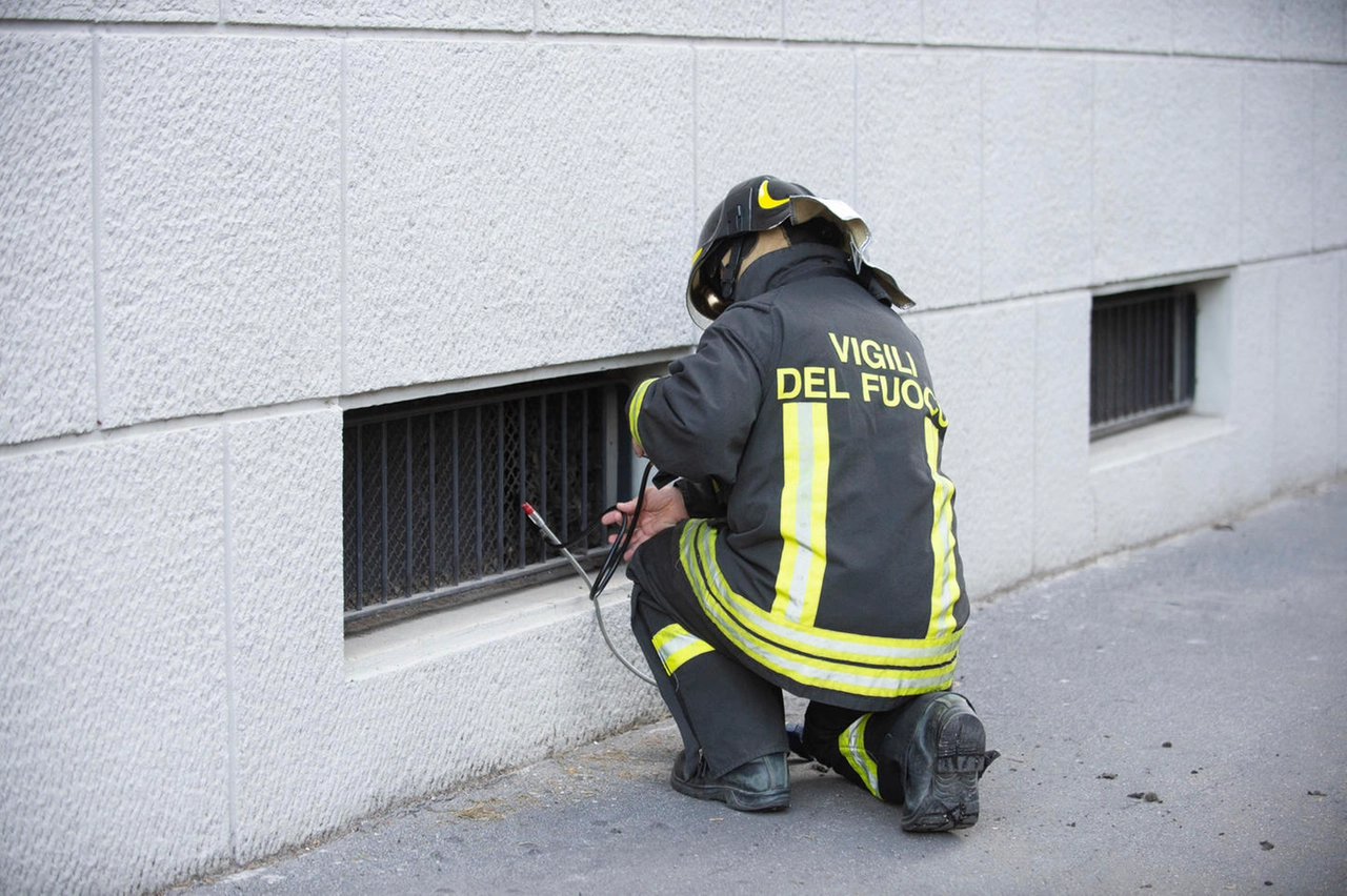 immagine di sfondo 52