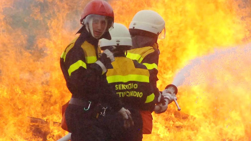 Estate in vista, boschi da tutelare Squadre anti-incendio pronte Estate in vista, boschi da tutelare Squadre anti-incendio pronte