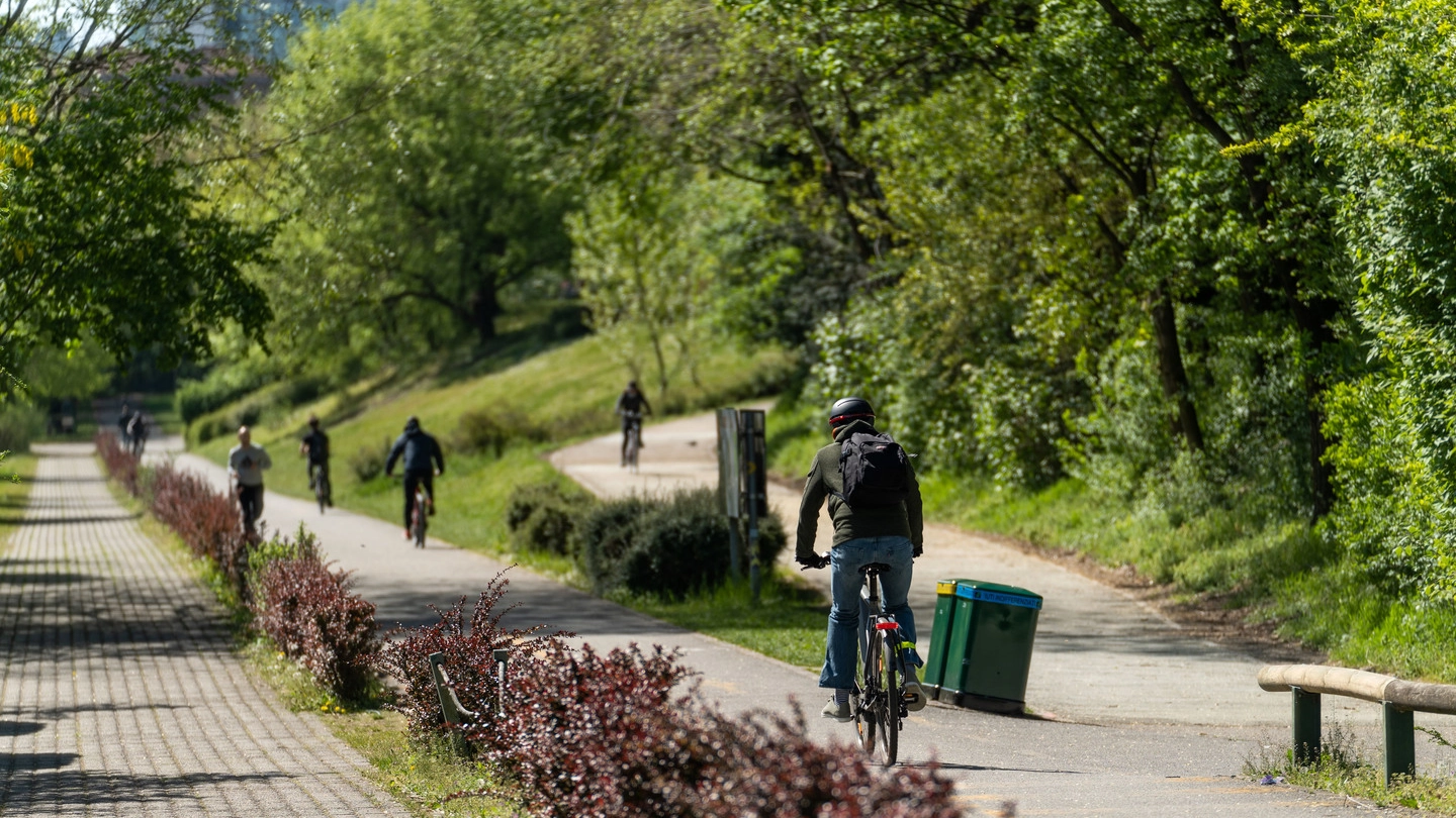 Discese in mountain bike al Parco Nord: un'abitudine pericolosa