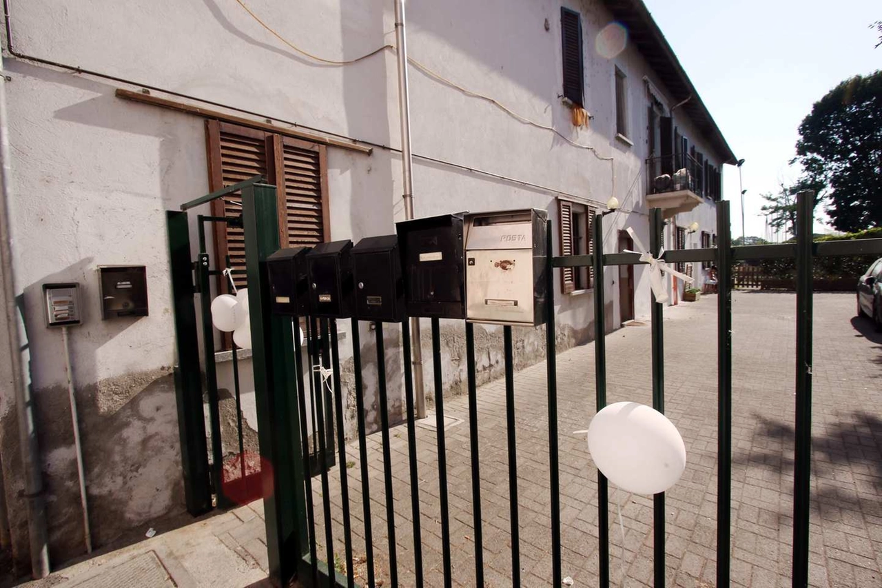 immagine di sfondo 5