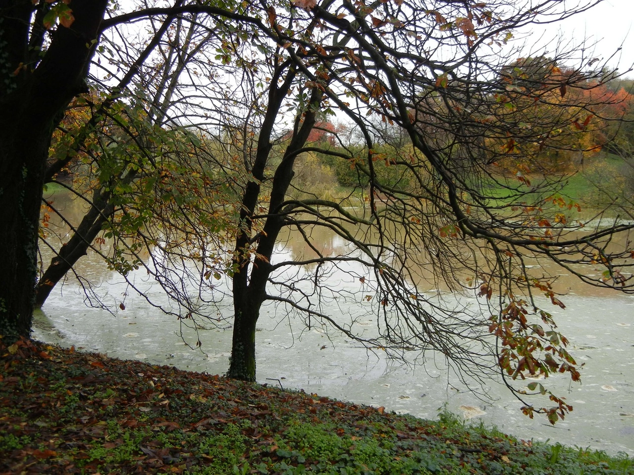 immagine di sfondo 34