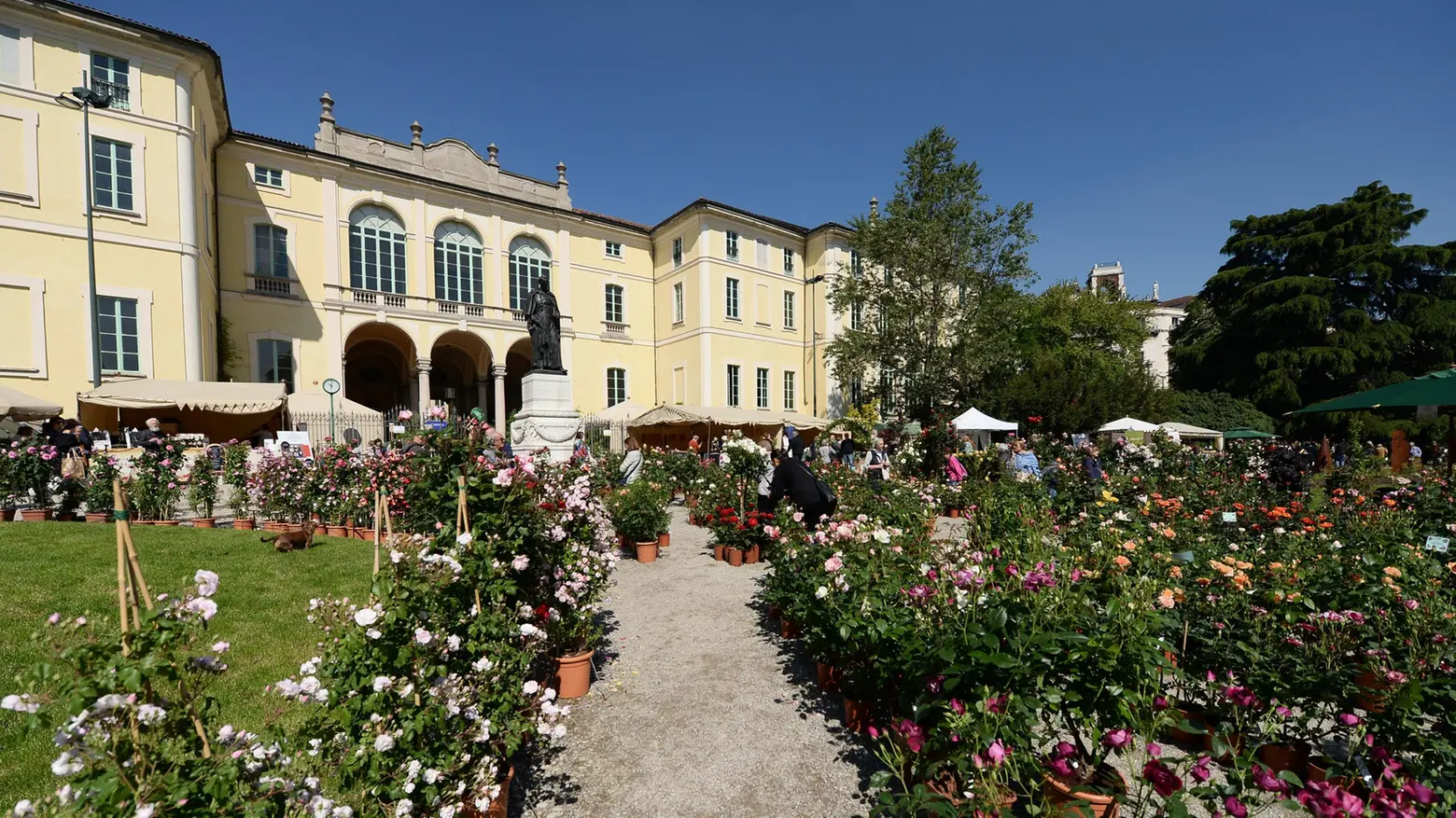 La Franciacorta fiorita  Un weekend a spasso  fra piante, vini e castelli