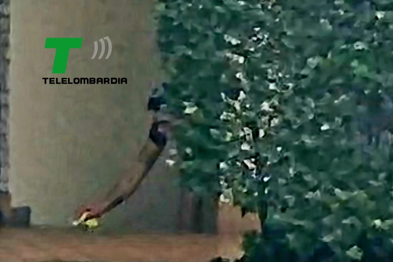 Alessandro che pulisce (Frame video Telelombardia)
