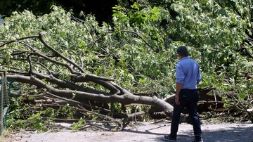 Maltempo, oggi allerta arancione per rischio temporali a Milano: chiude anche l’idroscalo