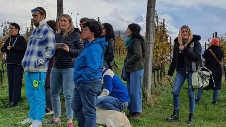 Un territorio da scoprire. Consorzio Terre Lariane: il vino fa bene al turismo