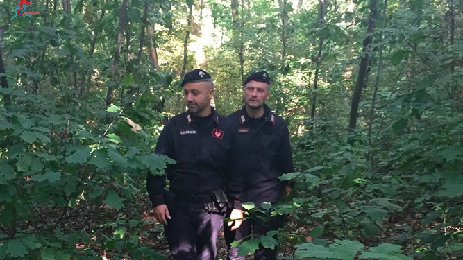 I monitoraggi dei carabinieri nei boschi sono costanti