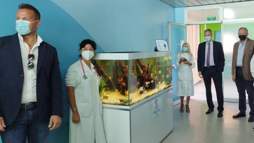Decolla l'acquarioterapia a Pavia per i piccoli ricoverati in ospedale
Decolla l'acquarioterapia a Pavia per i piccoli ricoverati in ospedale