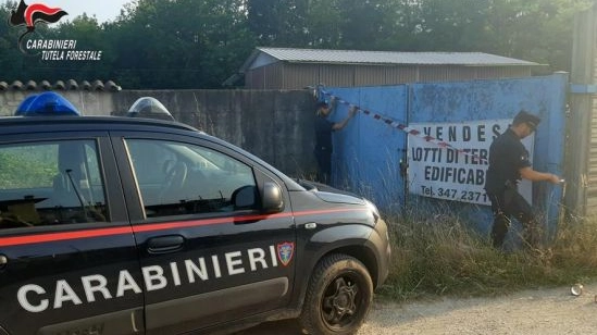 Carabinieri forestali sequestrano un terreno a Prseglie