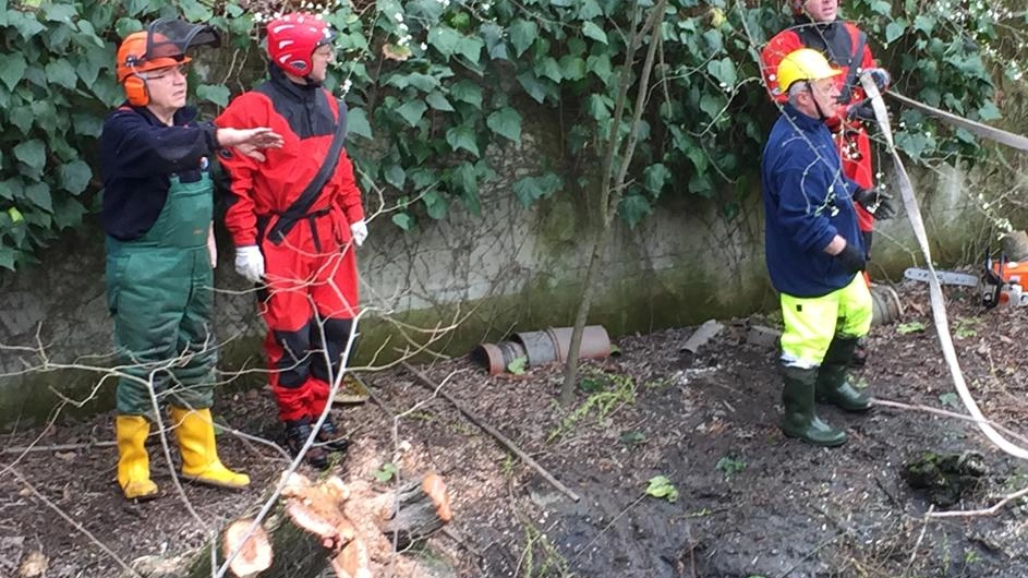 Dopo il crollo degli alberi lavori sulla ciclopedonale Dopo il crollo degli alberi lavori sulla ciclopedonale