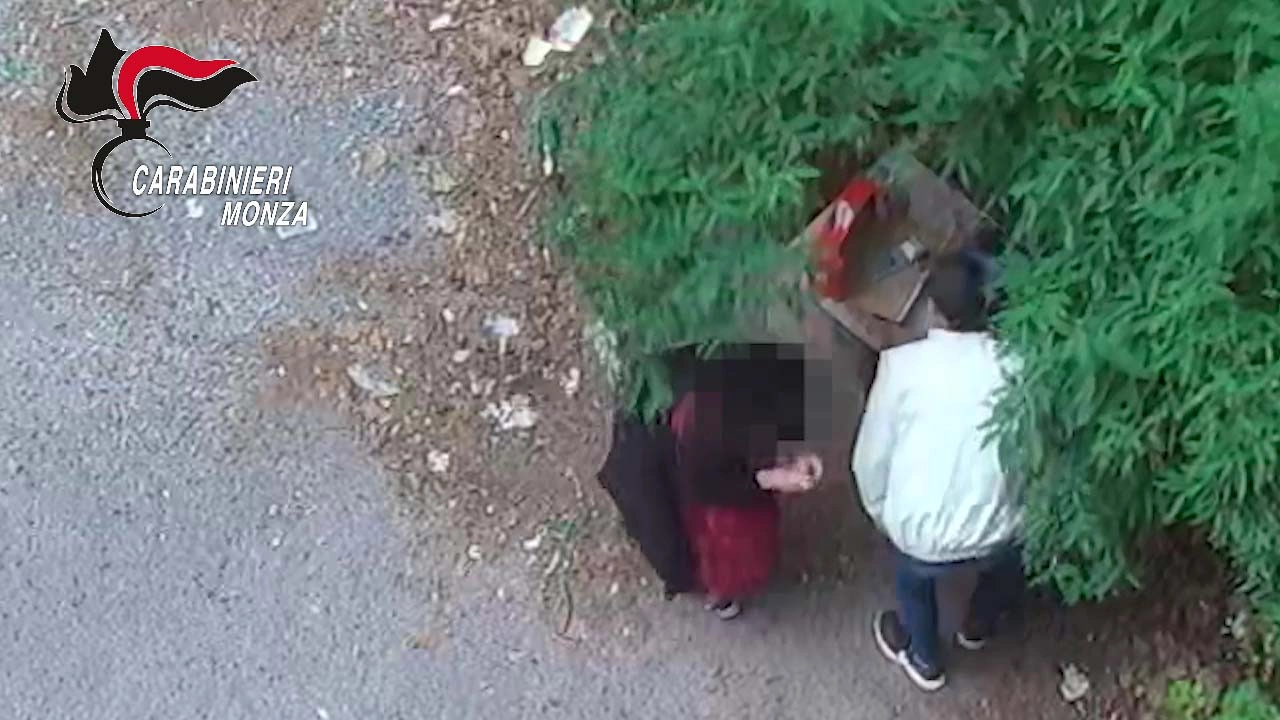 immagine di sfondo 14