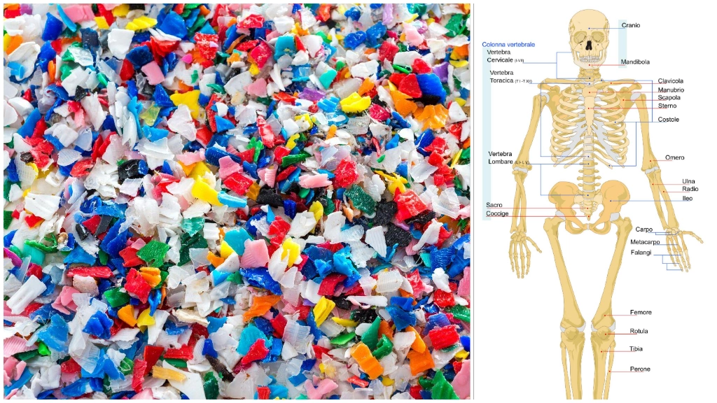 Frammenti di plastica; a destra, lo scheletro umano