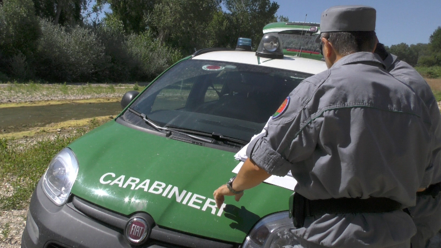 I carabinieri della Forestale (Foto archivio) I carabinieri della Forestale (Foto archivio)