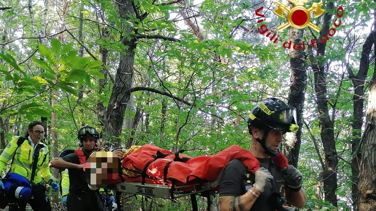 I vigili del fuoco hanno trasportato l'uomo fuori dal bosco I vigili del fuoco hanno trasportato l'uomo fuori dal bosco