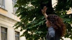 Sospeso il taglio degli alberi Sospeso il taglio degli alberi