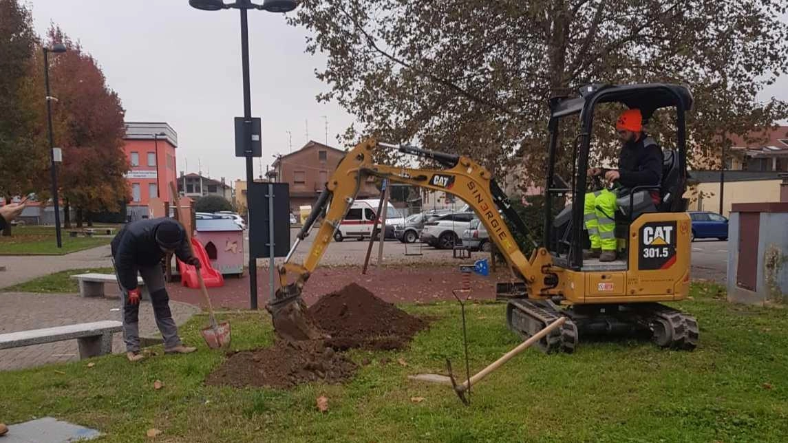 Piazza Grandi rinasce con un boschetto. E una vasca sotterranea anti allagamenti Piazza Grandi rinasce con un boschetto. E una vasca sotterranea anti allagamenti