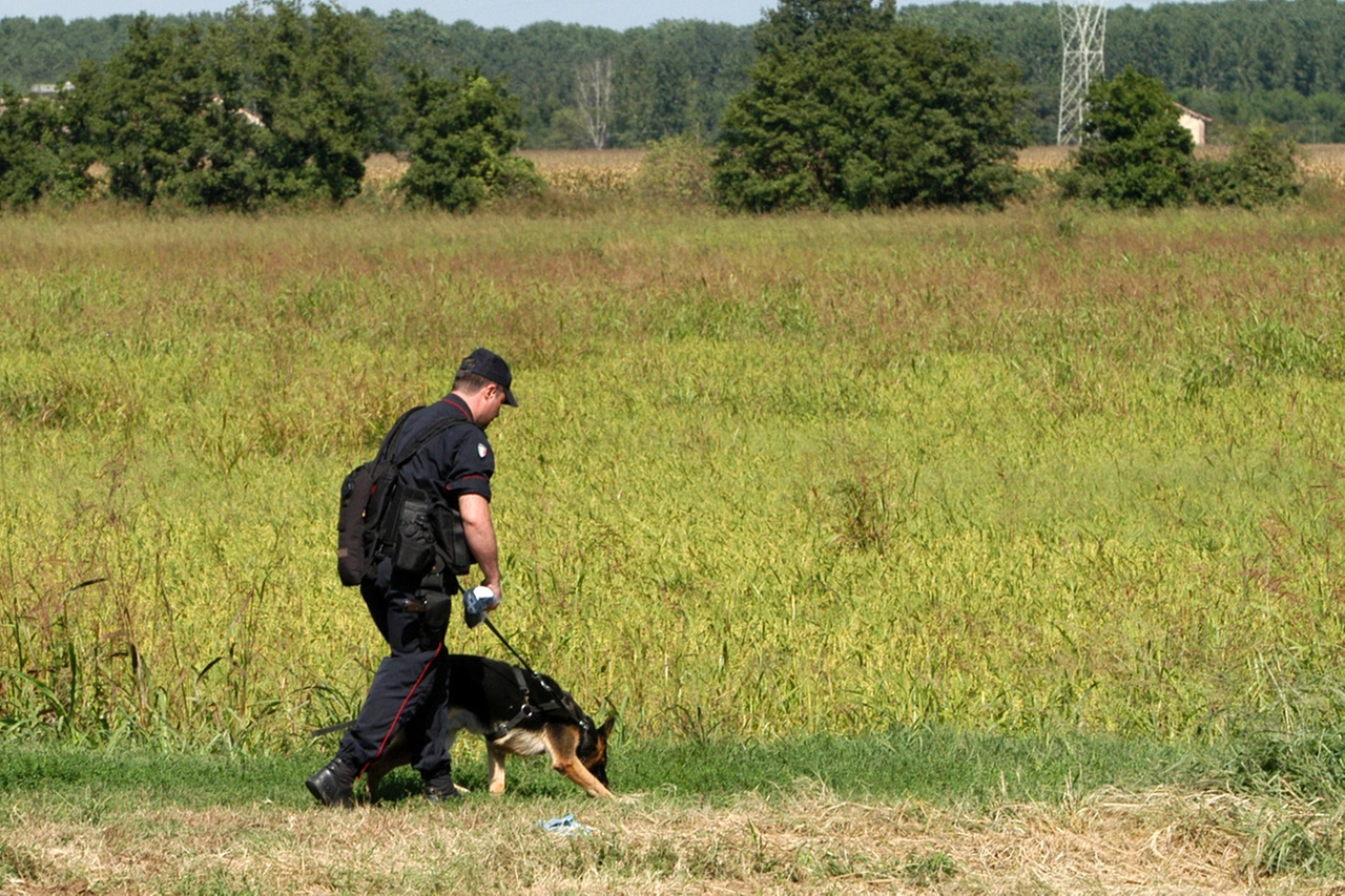 Boschi della droga a Rescaldina