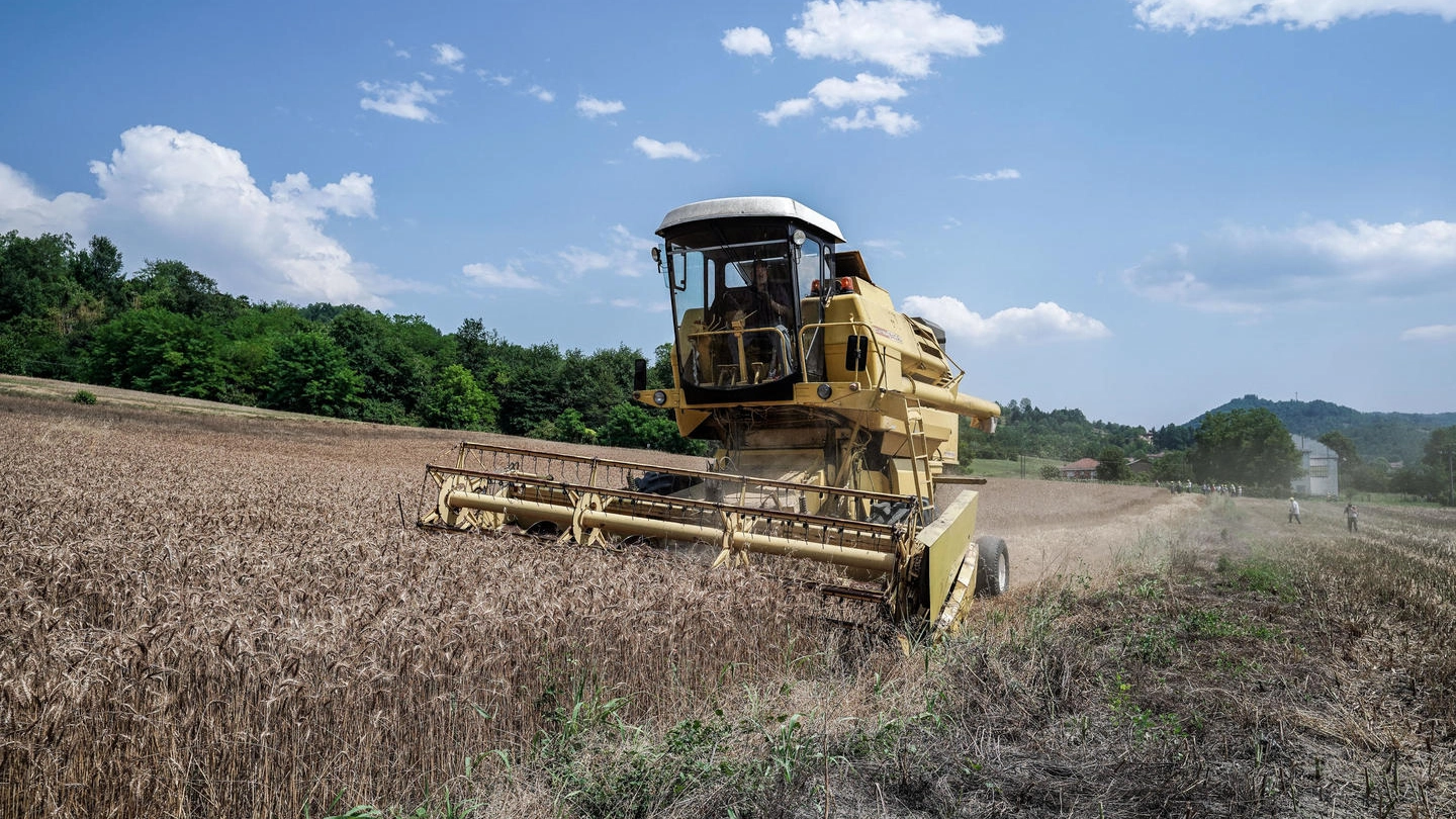 Esportare il grano ucraino verso l'Europa resta un'impresa molto complicata dalla guerra