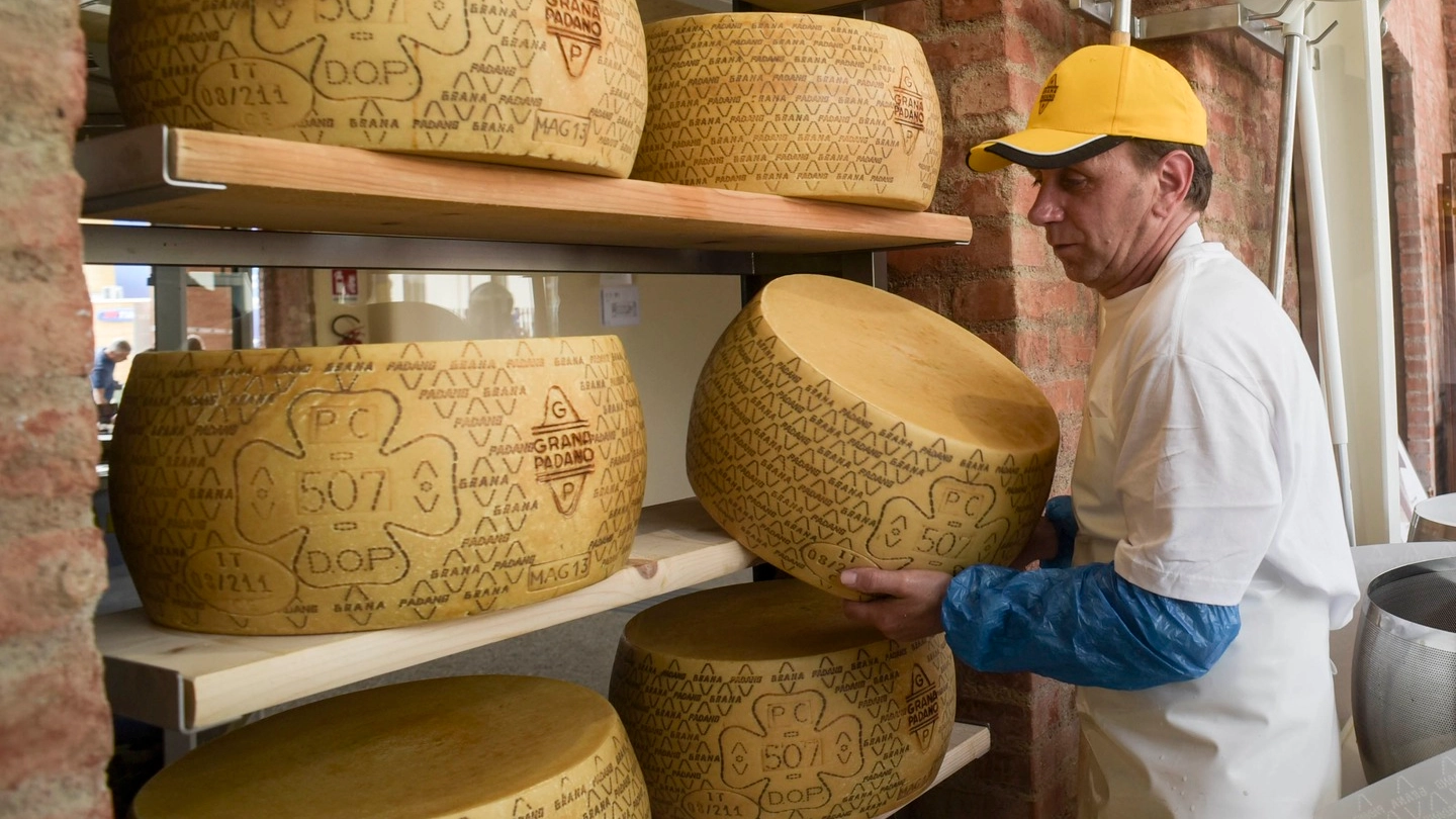 5 - Fiera del Grana Padano a Goito