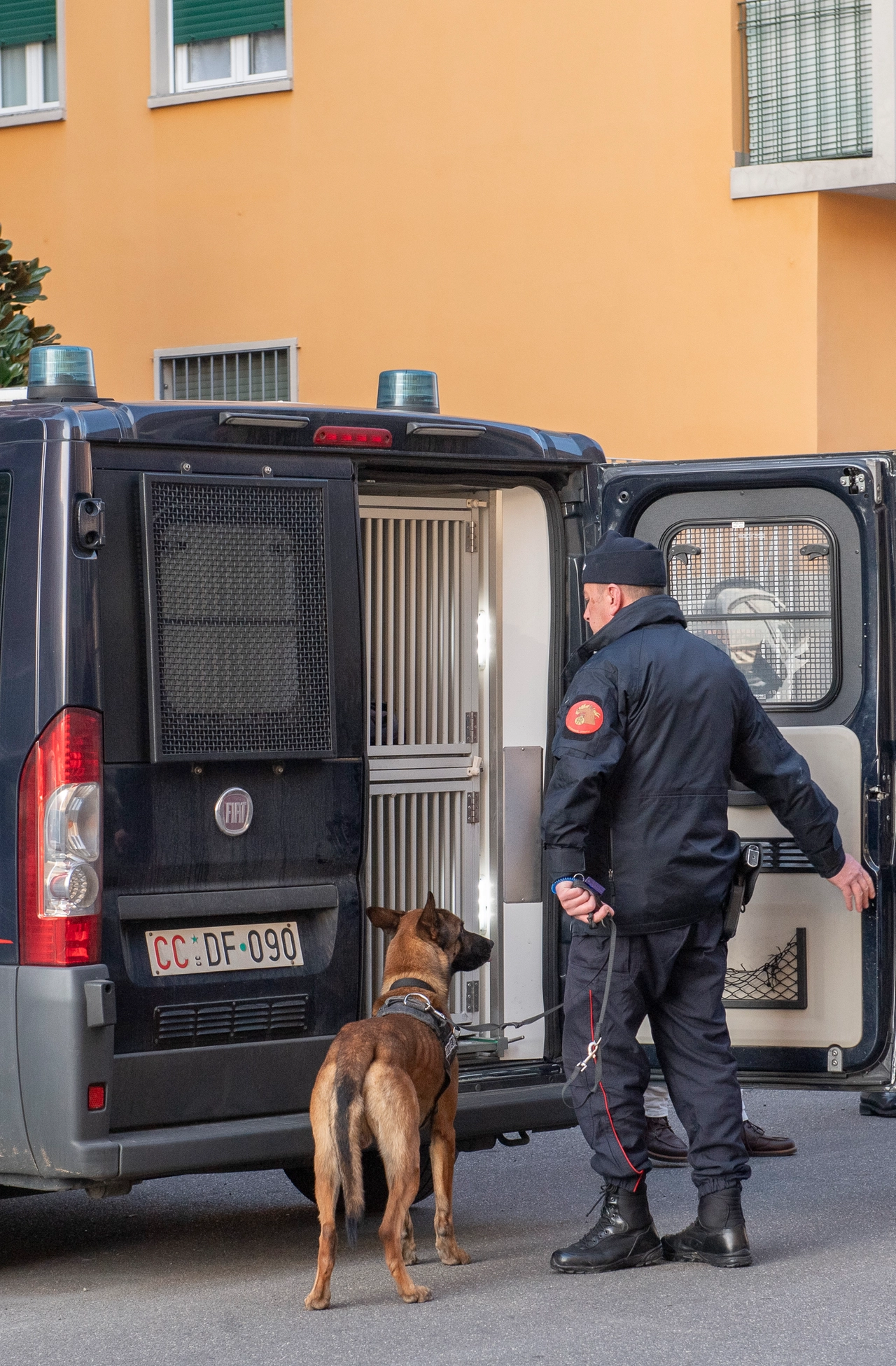 immagine di sfondo 2