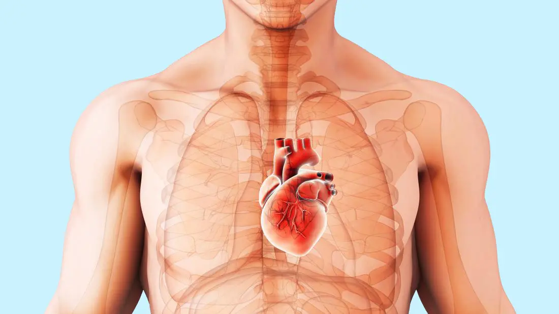 La miocardite fulminante può condurre, in alcuni casi, alla morte cardiaca improvvisa