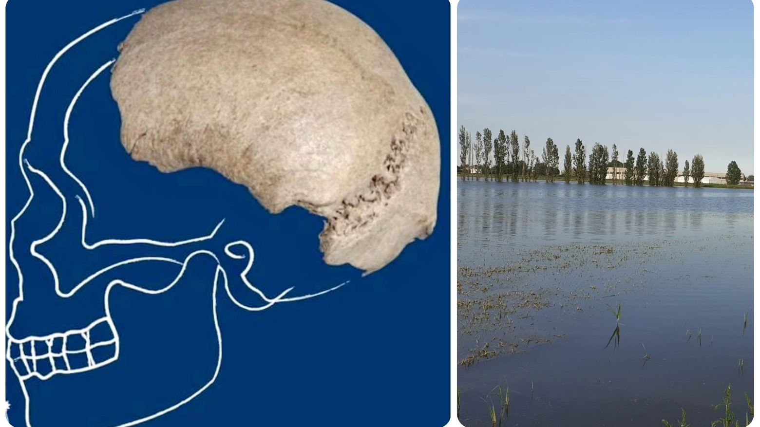 Cranio Homo sapiens trovato nel fiume Po
