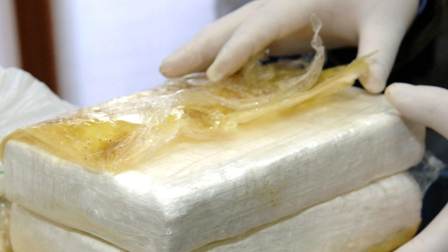 Panetti di cocaina (Foto archivio)