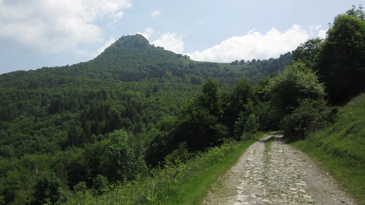 immagine di sfondo 10